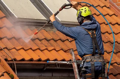 Démoussage et hydrofuge de toiture à Dambach